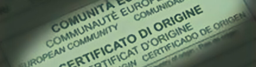 Visti e Legalizzazione documenti